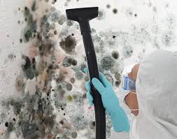 Best Residential Mold Inspection & Testing  in Manitowoc, WI